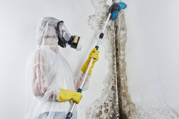 Professional Water damage restoration in Haverford College, PA